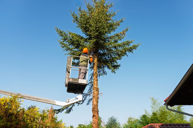 Tree Care Equipment